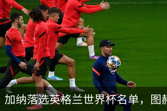 加纳落选英格兰世界杯名单，图赫尔的电话传递了什么？