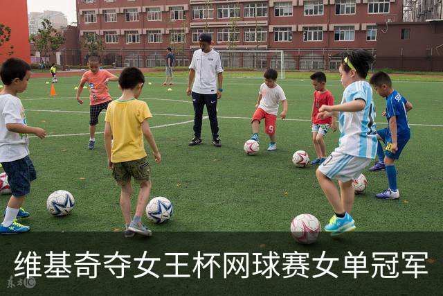 维基奇夺女王杯网球赛女单冠军